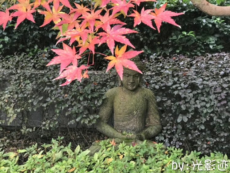 临安众安湍口氡温泉官网,杭州临安湍口众安氡温泉滑雪