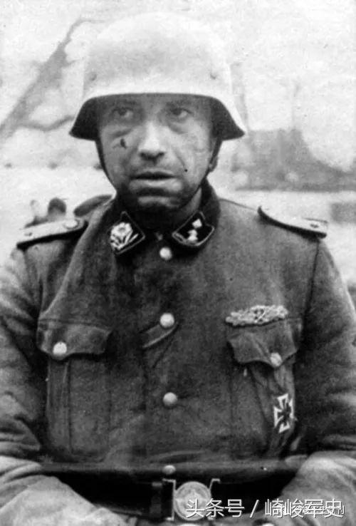 矢车菊凋谢在多瑙河畔：*党**卫军第22“玛丽亚·特蕾莎”骑兵师简史