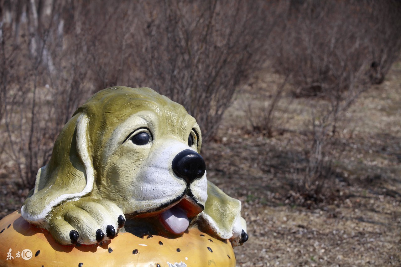 狗狗细小呕吐不拉稀是什么原因,狗狗肠炎拉稀带血怎么解决