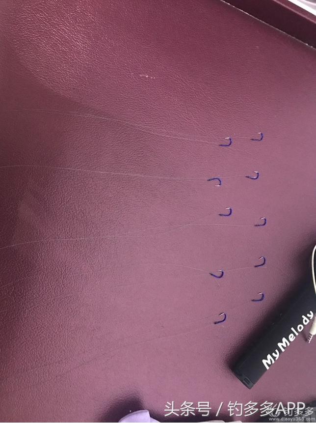 钓鱼圈天赋,学钓鱼从零开始野钓选鱼钩