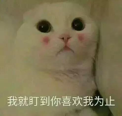 吃土必买的十支口红,吃土必买的十款口红