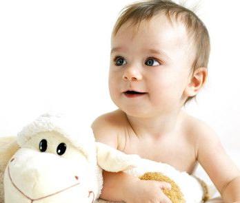 九尾狐养生,九尾狐的神奇功效