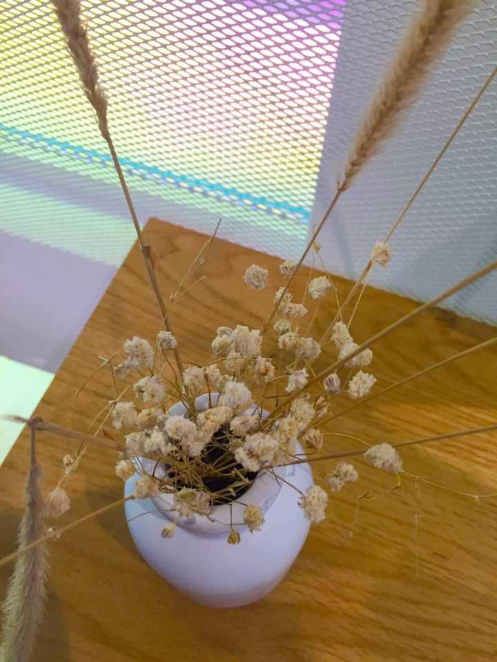 上海吱音生活馆,吱音北京实体店