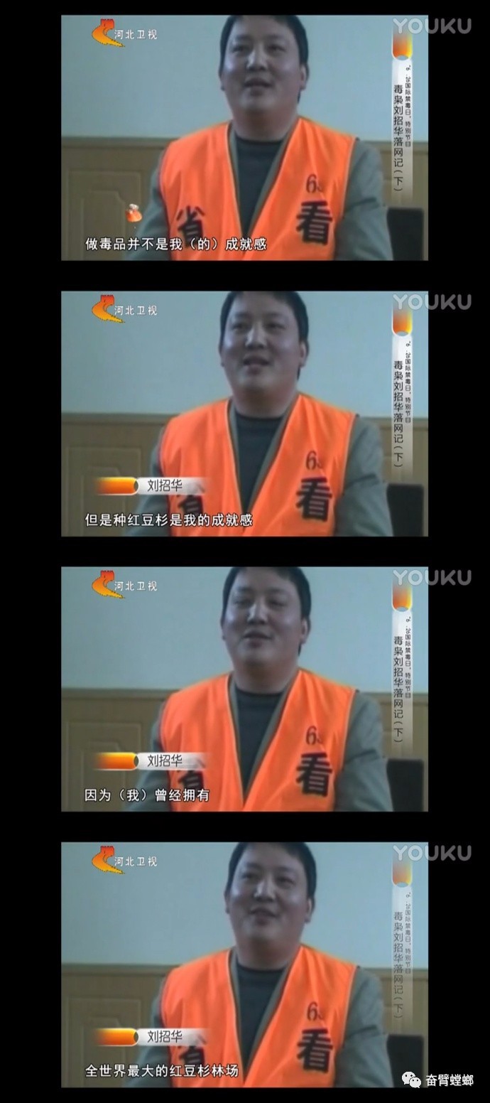 佛系毒枭的ThugLife