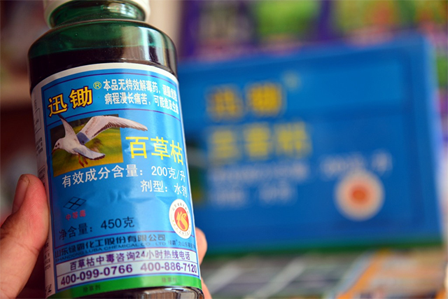 误食剧毒百草枯后果到底有多可怕,百草枯死亡有多可怕