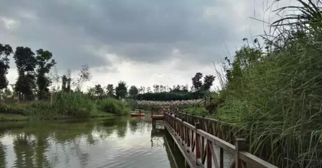 冬天成都两天来回得哪里去玩,成都3-5天短途旅游推荐