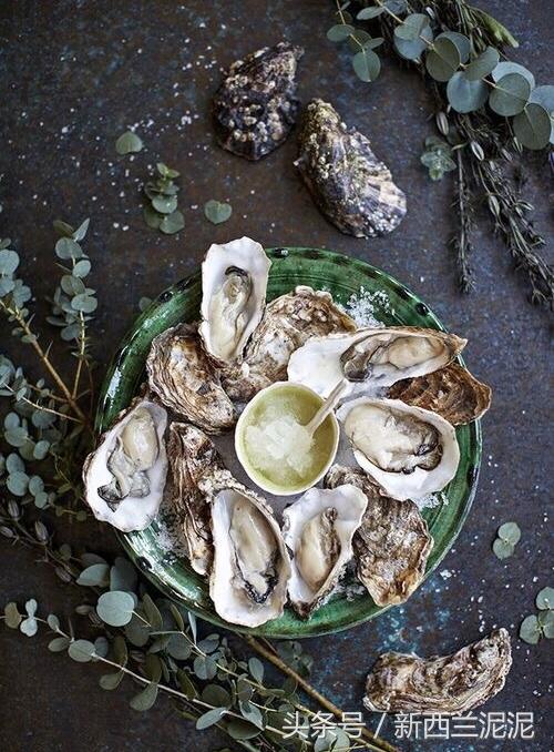 新西兰十大美食,吃货必去的海鲜城市