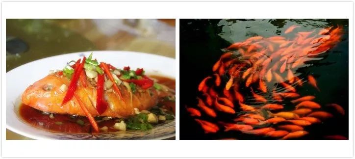 江西农民户口有什么政策,江西户籍留在江西工作有补贴吗