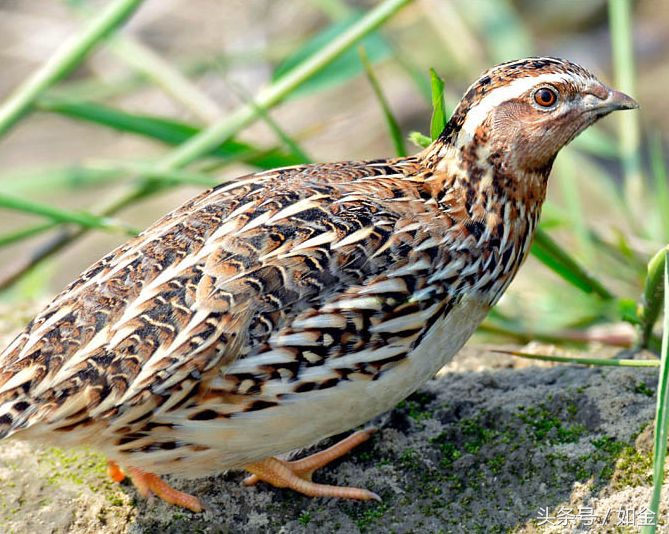 让你快速赚钱的五个生意,让你赚钱发财的12个方法