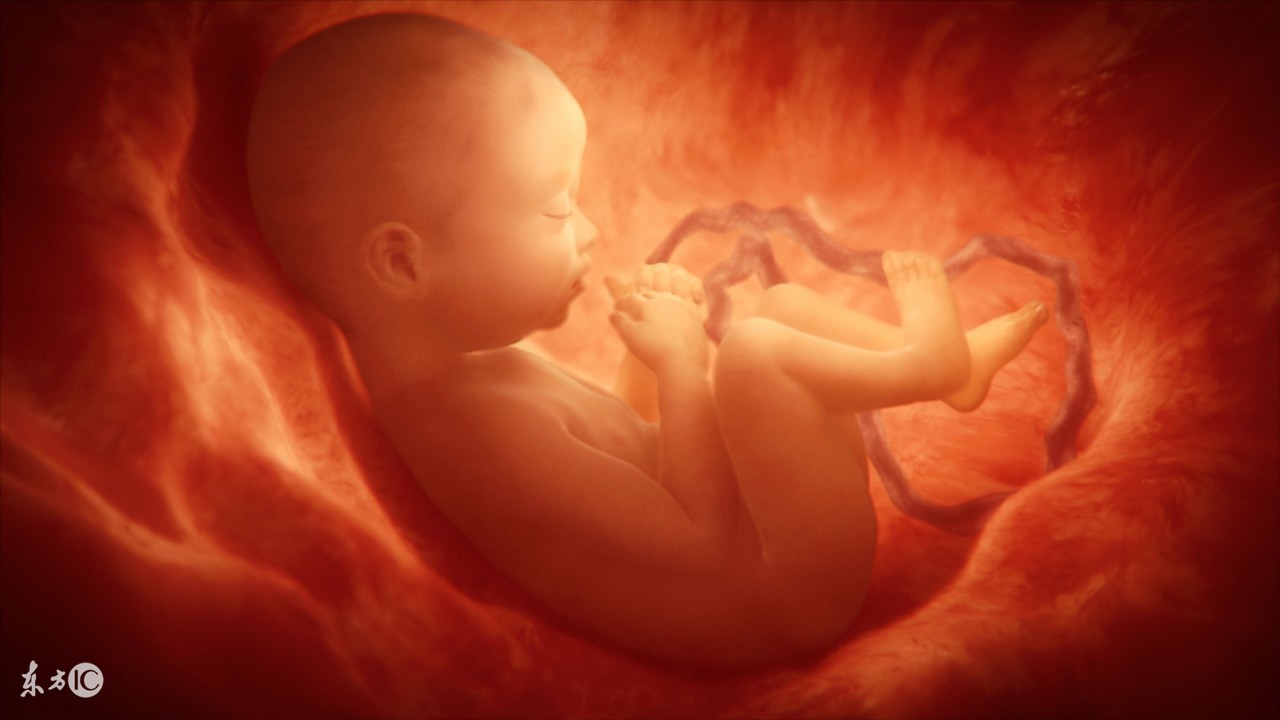 孕周和羊水深度对照表,孕十一周羊水正常范围