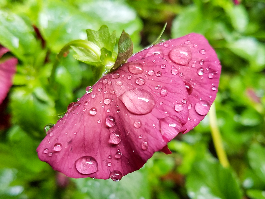 vivoxplay5在2021年什么水平,vivoxplay5有多震撼