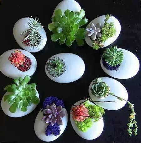 用鸡蛋壳这样养花1年不用施肥,鸡蛋壳别再扔了这样做比肉还好吃