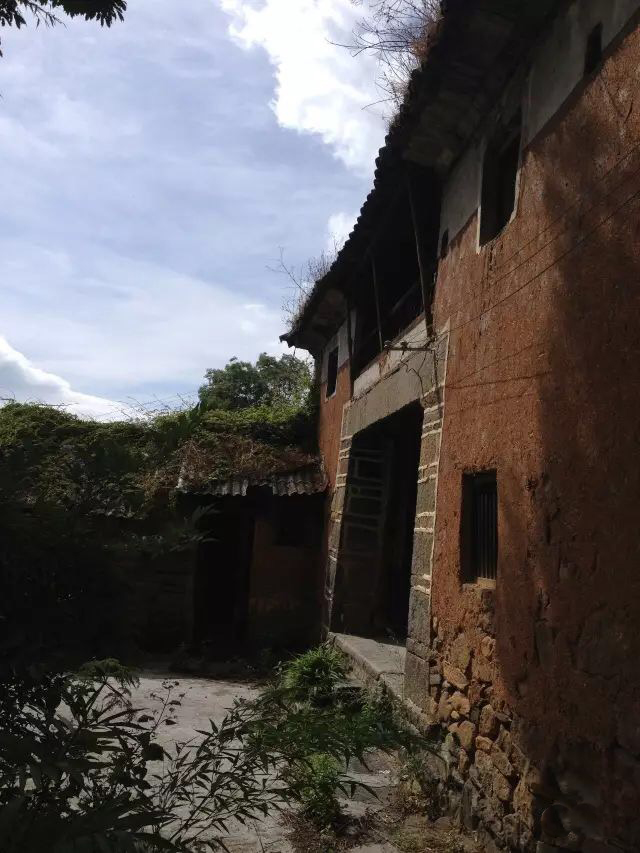 因为爱情,让旅途中的他们留在了大理