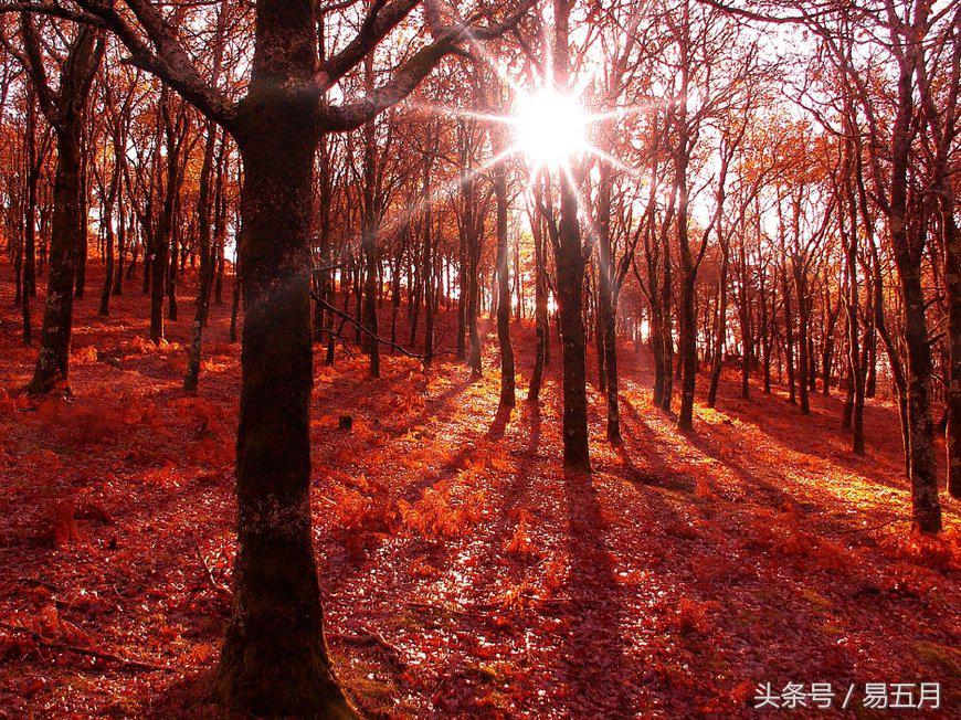 另一半存在的问题,另一半有异性知己你会在意吗