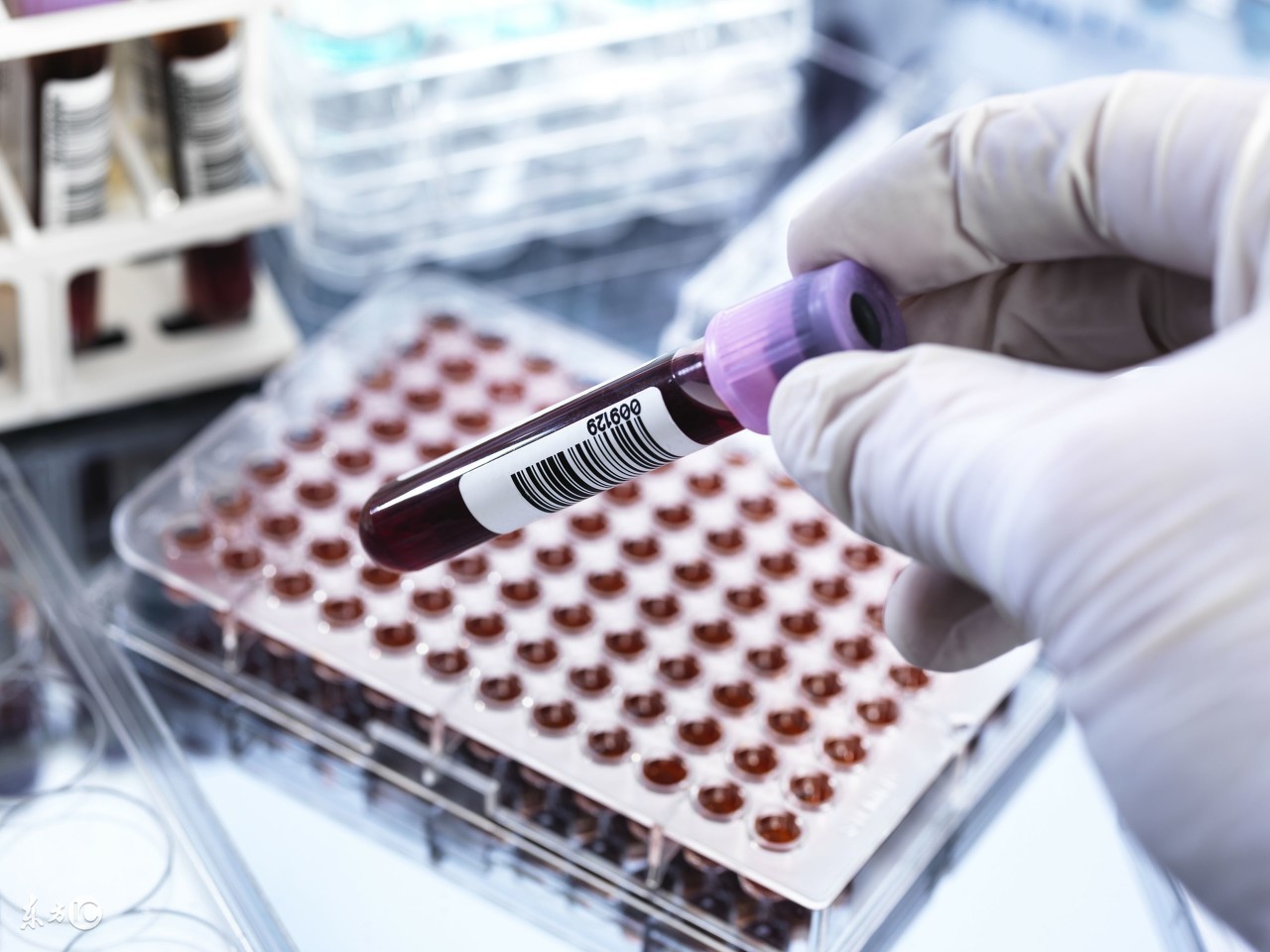 怀孕多久可以看孩子,怀孕几个月可以看孩子健不健康