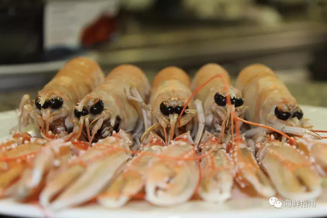 海鳌虾极品刺身,新西兰最好吃的海鳌虾