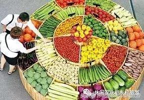 小农庄一年利润多少,二十亩地一年收入千万的小农庄