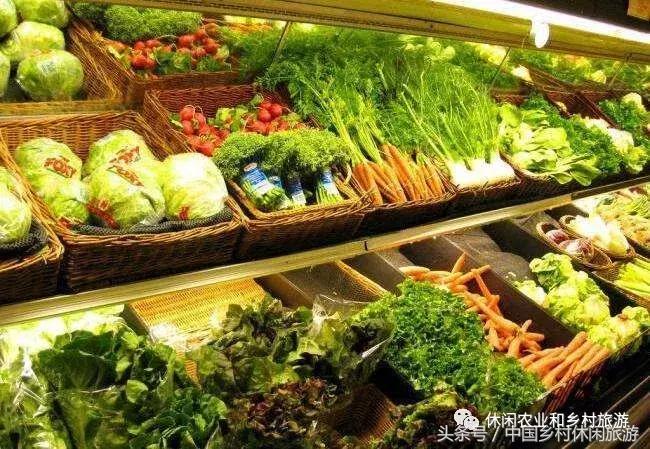 小农庄一年利润多少,二十亩地一年收入千万的小农庄