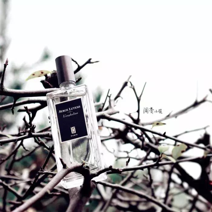 2017上海败家娘们年终测评考试试卷