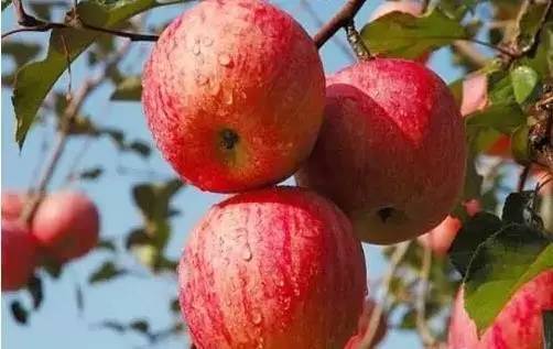 9种常见皮肤病的忌口,皮肤病它才是真正的罪魁祸首