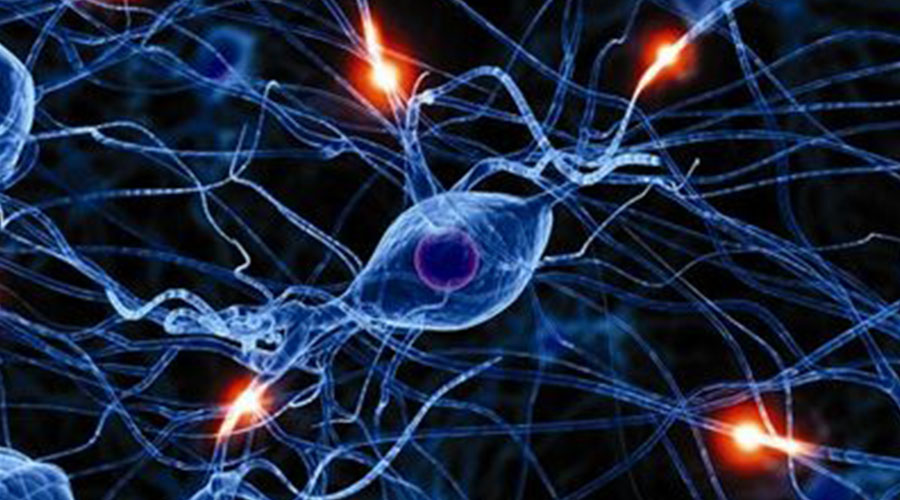 合肥华世佳宝儿科研究所研治一体专业治疗儿科疾病