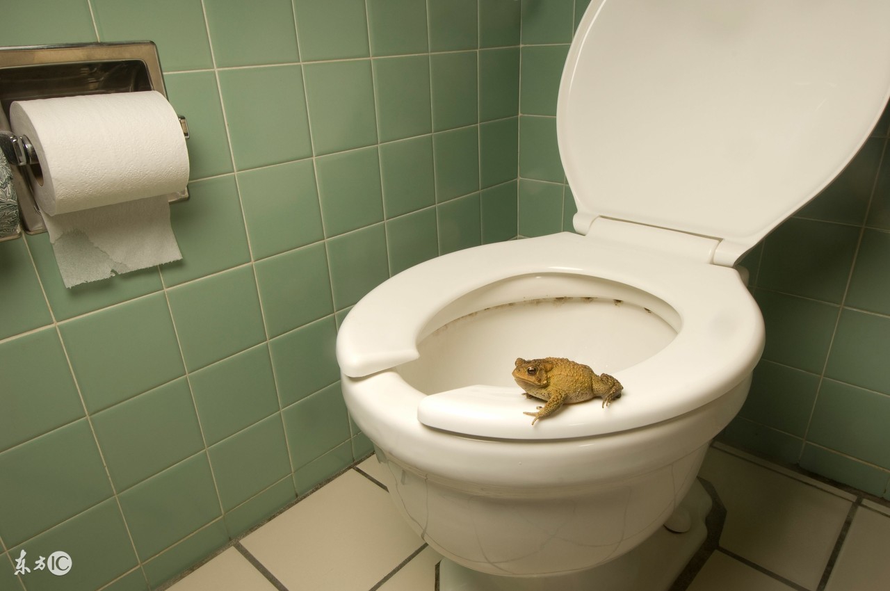 这8个冷知识你可能还不知道，快来涨姿势吧