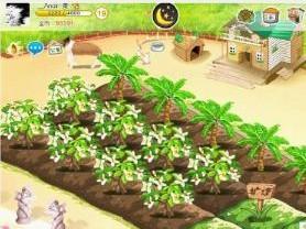 qq游戏农场偷菜搞笑视频,qq农场偷菜