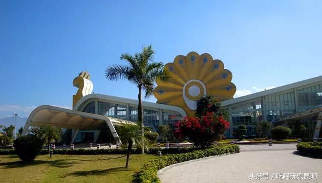 这两天德宏拽伤了，和全世界对话都是：我20度！