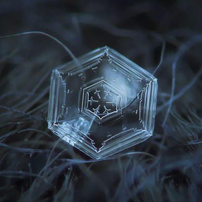 历时8年用微距镜头拍摄的雪花,超级微距拍摄雪花