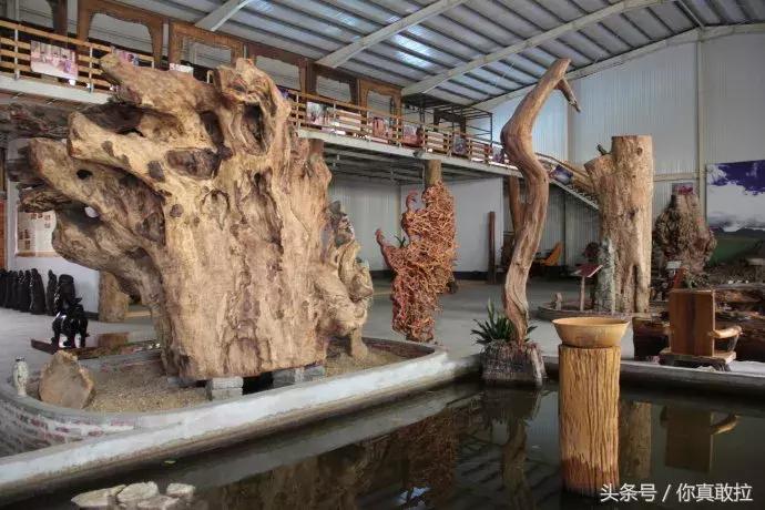 央视《国家宝藏》刷屏！藏在临沂的这25个博物馆你去过几个？