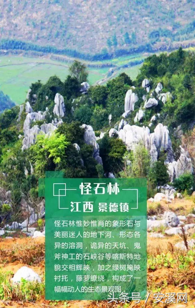 永春至德化高速最新路况今天,泉州安溪永春德化自驾旅游攻略