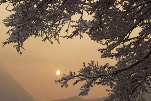 鍐父榛勫北濂借繕鏄崕灞卞ソ,鍐父鍗庡北鏀荤暐