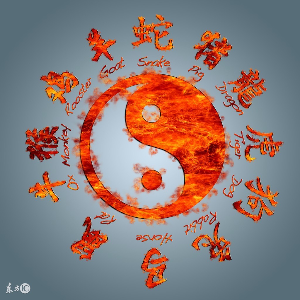 中国的十二生肖,中国的十二生肖英语作文