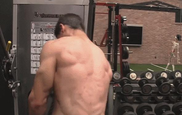 5个高效增加手臂围度的训练动作,臂围不到40不能赤膊训练图片