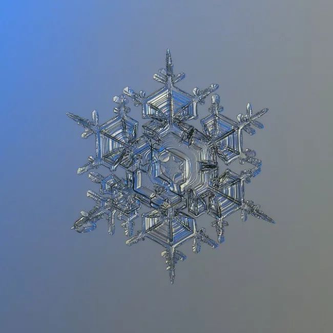 历时8年用微距镜头拍摄的雪花,超级微距拍摄雪花