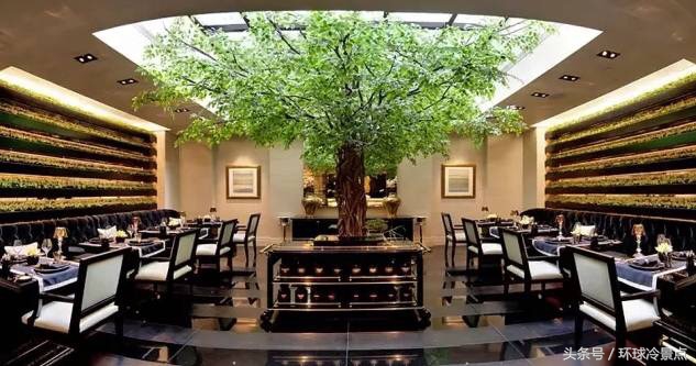 圣诞节米其林套餐,旅行米其林餐厅