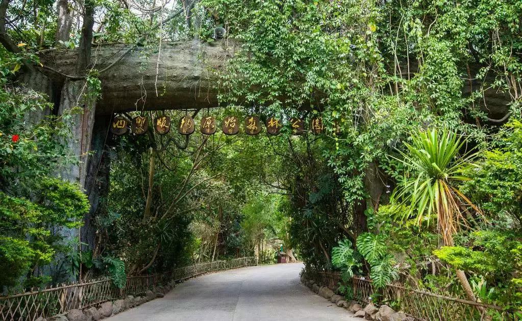 昆明坐火车绿皮去西双版纳,昆明坐高铁去西双版纳沿途风景