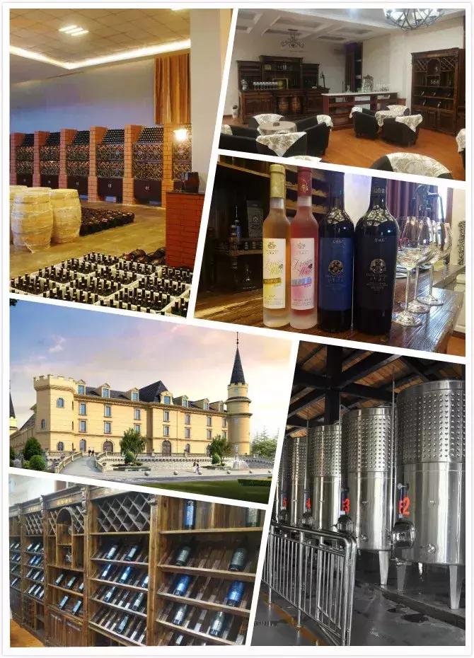 渭南葡萄园景区,渭南葡萄产业园观光游