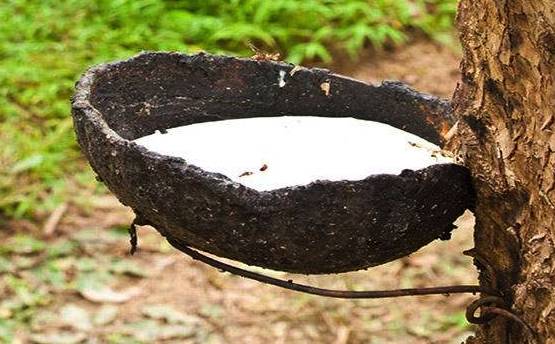 泰国乳胶枕哪个品牌好,泰国乳胶枕儿童哪家好