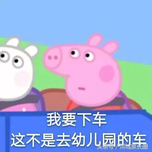 24年最新男孩英文名大全,适合兔年宝宝的英文名