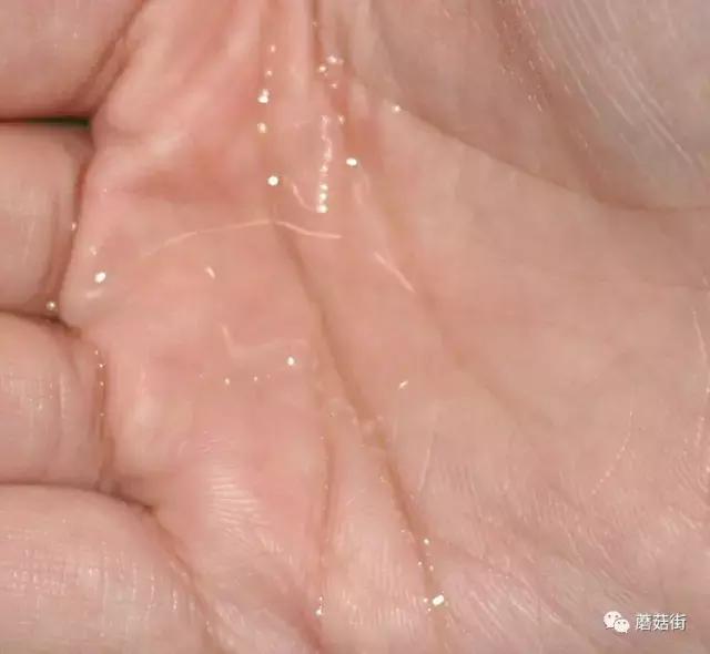 中年女士保湿补水一叶子护肤水,平价好用的护肤水测评