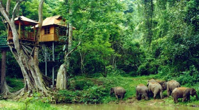 昆明坐火车绿皮去西双版纳,昆明坐高铁去西双版纳沿途风景