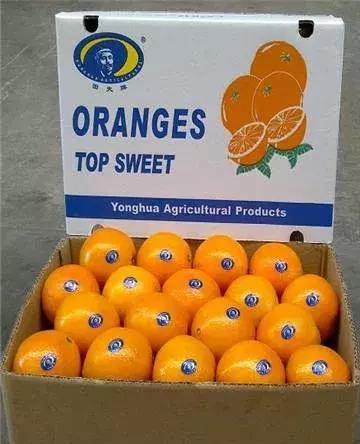 华润五丰营销,华润五丰主要做什么