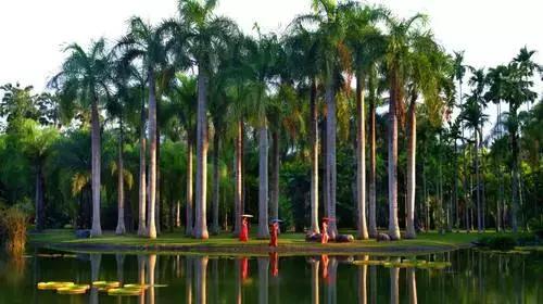 这个元旦，我要从南走到北，看看这大大的中国！