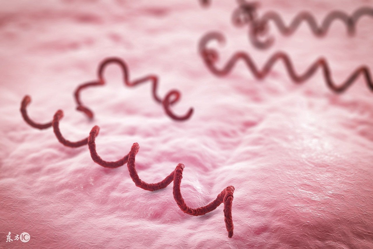 一世英名毁于一蛋的视频,一世英名毁于国足