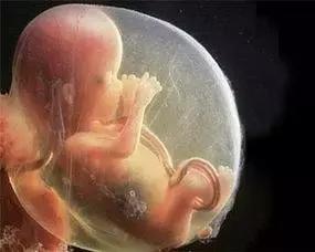 不用做B超也能知道:胎儿的头在哪,脚在哪!