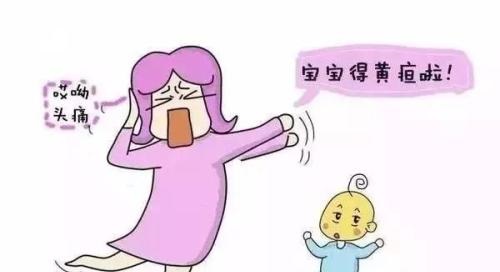 黄疸指数超过15就是病理性黄疸吗,宝宝黄疸偏高宝妈吃什么可以缓解