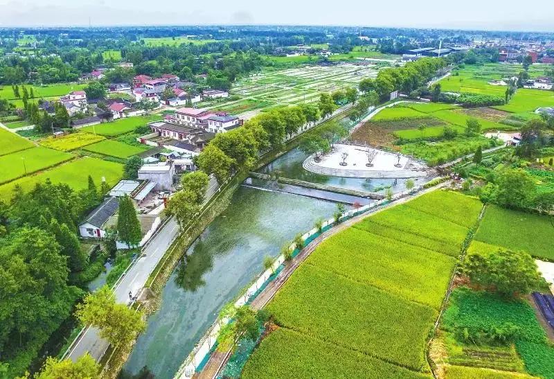 2019年四川大事件,四川热点大事件