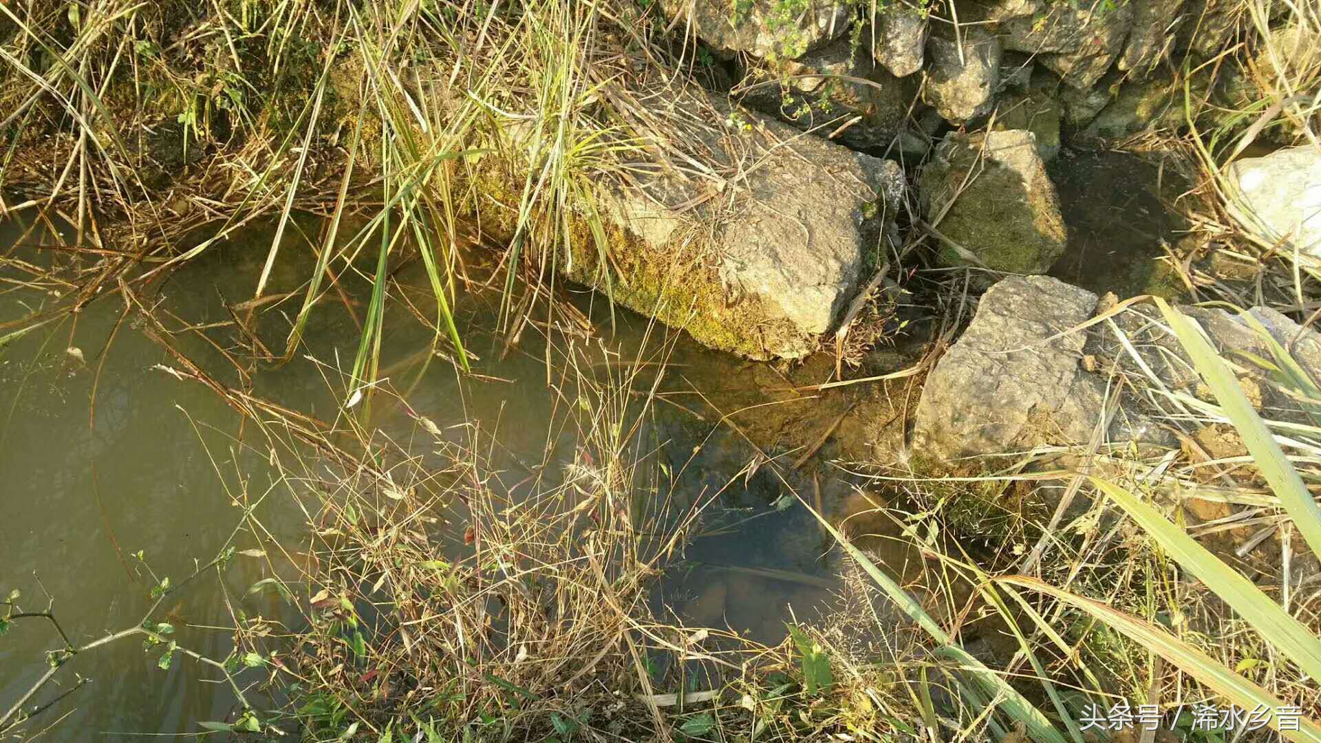 扶贫图片真实大全,扶贫纪实照片