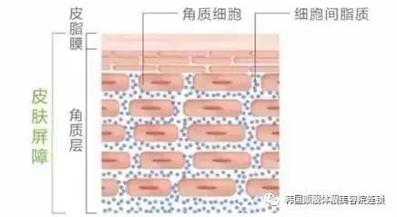 冬季皮肤干燥起皮泛红怎么办,冬季皮肤干裂脱皮怎么办